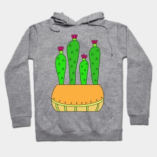 Cute Cactus Design #9: Delicate Melon Pot Cacti Hoodie